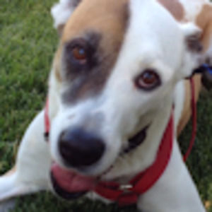 Meet your Posher, Ce